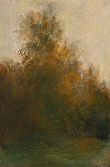 The Grove